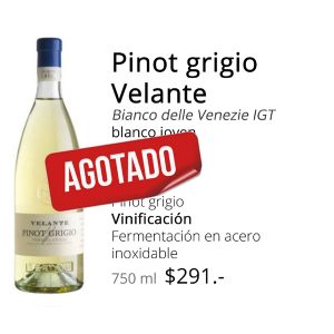 Pinot grigio velante
